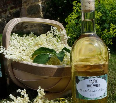 elderflower champagne, elderflower wine, foraged drinks